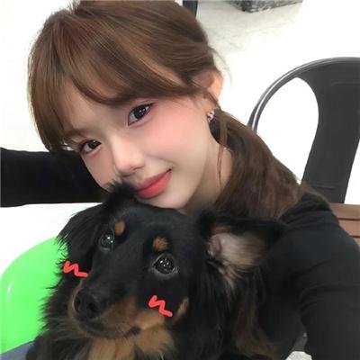 101朵玫瑰